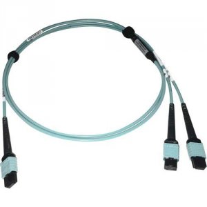 Tripp N846D-01M-24BAQ Cables And Connecti