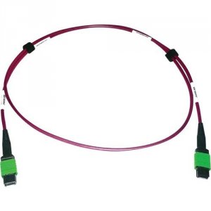 Tripp N846D-01M-16AMG Cables And Connecti