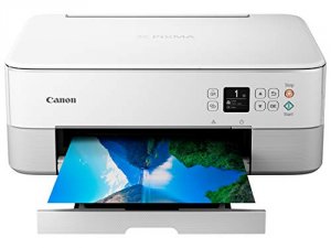 Canon 4462C022 Ts6420wh Wireless Inkjet Multifunction Printer - Color 