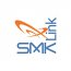 Smk VP4350 Smk-link Global Presenter With Mouse Con