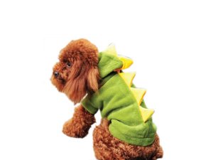 Bulk VR035 Dinosaur Pet Costume