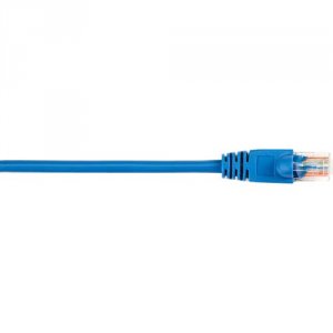 CAT5EPC-003-BL-25PAK