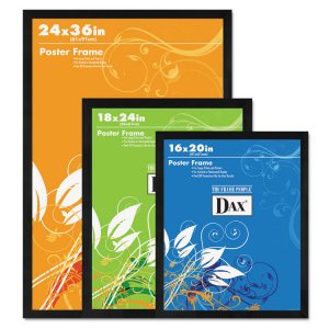 Dax 2860V2X Frame,poster,16x20,bk