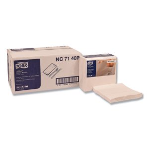 Essity NP310A Napkin,dnnr18fld,2ply,wh