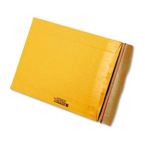 Anle 89314 Envelope,10.5x14rigi,brkr