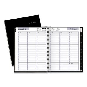 At-a-glance G520H00 Book,appointmnt,pro,wk,bk