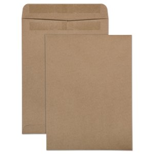 Quality QUA43511 Envelope,9x12rcy,cat,brkr