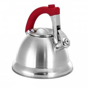 Mr 126993.01 Mr. Coffee Collinsbroke 2.4 Quart Stainless Steel Tea Ket