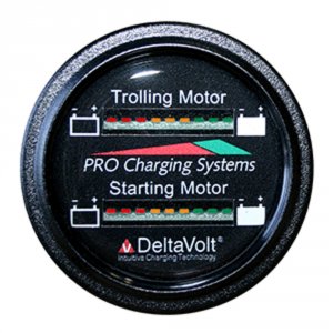 Dual BFGWOM1536V/12V Battery Fuel Gauge - Marine Dual Read Battery Mon