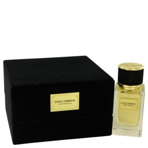 Dolce 539503 Dolce  Gabbana Velvet Patchouli Showcases The Modest And 