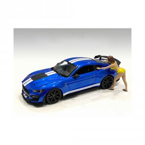 American 76366 Brand New 124 Scale Of Stephanie Bikini Car Wash Girl F