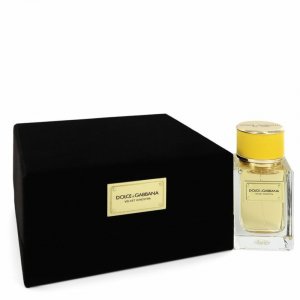 Dolce 546960 Dolce  Gabbana Velvet Ginestra Was Created In 2016 By Dol