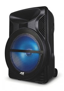 Naxa NDS1213 12 Wireless Portable Speaker