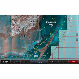 Garmin 010-C1194-00 Standard Mapping Florida One Professional