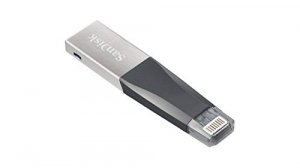 Retail SDIX40N-256G-GN6NE 256gb Ixpand Mini Flash Drive