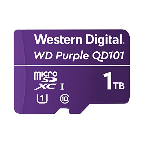 Western Digital-WDD100T1P0C