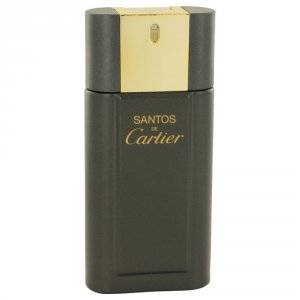 Cartier 501875 Launched By The Design House Of  In 1981, Santos De  Is