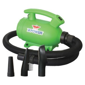 Xpower B-55 GREEN Prtbl Pet Grmng Dryr Grn