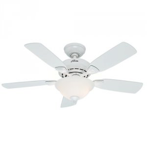 Hunter 52080 44 Caraway White Ceiling Fan