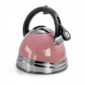 Mr 124936.01 Mr. Coffee 2.5 Quart Stainless Steel Whistling Tea Kettle