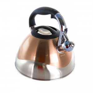 Mr 127572.01 Mr. Coffee Dowling 2.5 Quart Stainless Steel Whistling Te