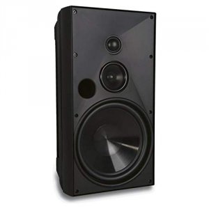 Nortek AW830BLK Outdoor Speaker With 8inch Woofer