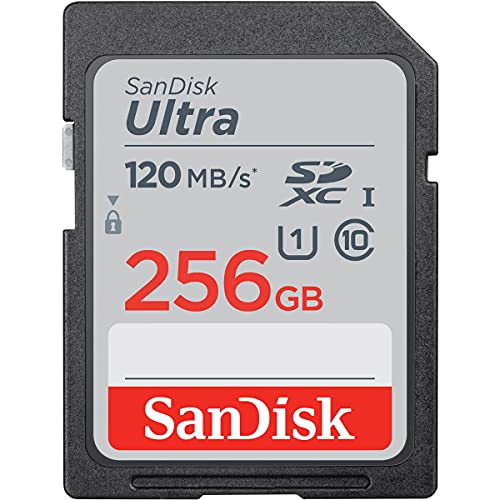 SanDisk-SDSDUN4-256G-AN6IN