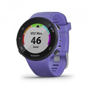 Garmin 010-02156-01 Forerunner 45s