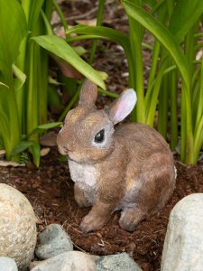 Accent 10017885 Sitting Bunny Garden Decor