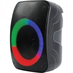 Naxa NDS-4003 Portable Bt Speaker