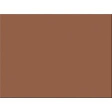 Pacon PAC 103089 Tru-ray Construction Paper - Bulletin Board - 18width