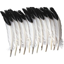 Pacon PAC AC4512 Creativity Street Imitation Eagle Feathers - Decorati