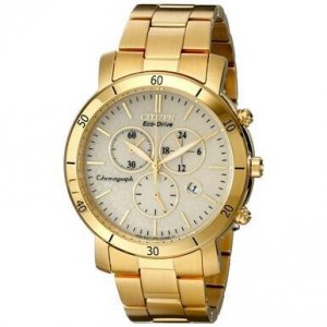 Citizen FB1342-56P Fb1342-56p Eco-drive Gold Tone Champagne Dial Women