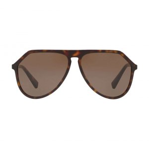 Glop DG4341-502/73 Dolce  Gabbana Dg4341-50273 Havana Aviator Brown Le