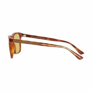 Glop GG0381S-005 Gucci Gg0381s-005 Light Havana Square Brown Polarized