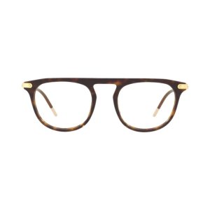 Glop DG3318-502 Dolce  Gabbana Dg3318-502 Havana Round Women's Acetate