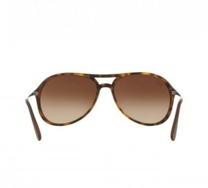 Glop RB4201-865/13 Ray-ban Rb4201-86513 Alex Tortoise Gunmetal Aviator