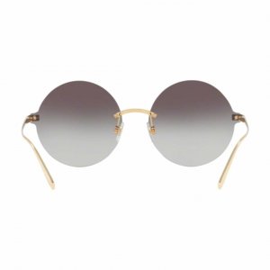 Glop DG2228-02/8G Dolce Amp; Gabbana Dg2228-028g Gold Round Grey Gradi