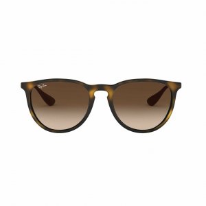 Glop RB4171-865/13 Ray-ban Rb4171-86513 Erika Classic Tortoise Gunmeta