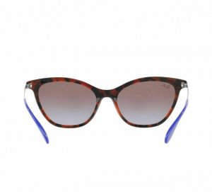 Glop RB4360-123668 Ray-ban Rb4360-123668 Blue Gunmetal Cat Eye Brown V