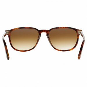 Glop P3019S-108/51 Persol 3019s 10851 Full Rim Acetate Unisex Folding 