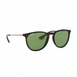 Glop RB4171F-6393/2 Ray-ban Rb4171f-63932 Erika Color Mix Tortoise Bro