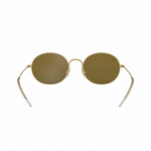 Glop RB3594-901373 Ray-ban Rb3594-901373 Beat Gold Round Brown Classic