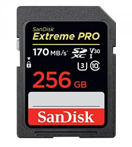 Western SDSDXXY-256G-GN4IN 256gb Extreme Pro