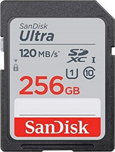 Western SDSDUN4-256G-GN6IN Newegg Only Ultra Sd 120mbs