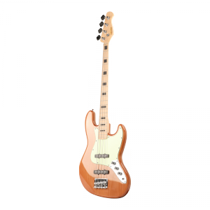 Electric Guitar1