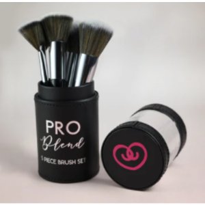 Beauty T-0024 Pro Blend 5 Piece Brush Set