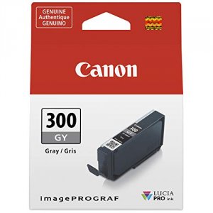 Original Canon 4200C002 Pfi-300 Gy Amr