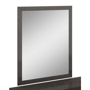 Homeroots.co 329650 43 Refined Grey High Gloss Mirror