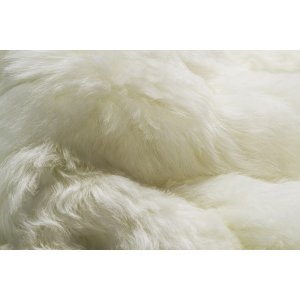 Homeroots.co 293181 White 2' X 3' Natural Sheepskin Fur Area Rug